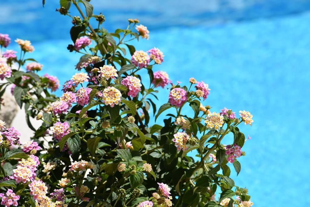 Affittacamere B&B La Villa Dei Graniti Villasimius Εξωτερικό φωτογραφία
